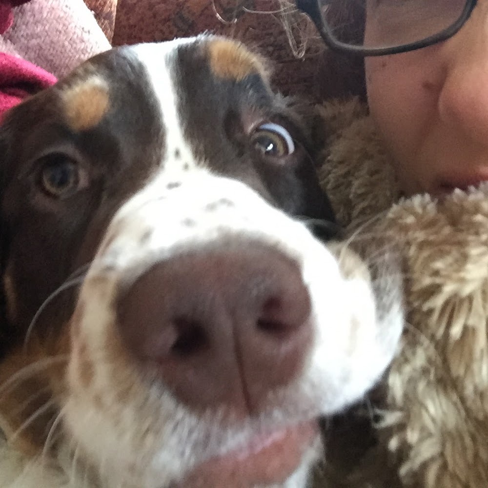 Meet your Posher, Francesca